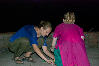 team members and volunteer - interns for organic farming / sustainable agriculture late evening permaculture farming activity in a bio-dynamic farm plot